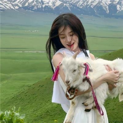 喇嘛与仁波切