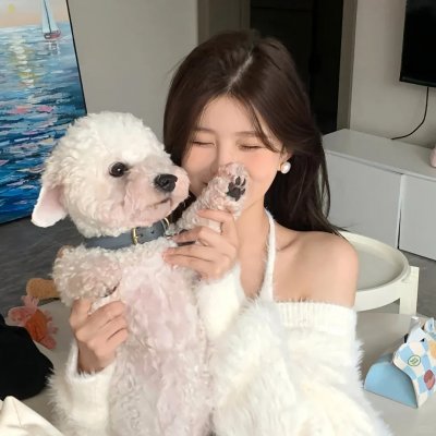 快乐的小鸡